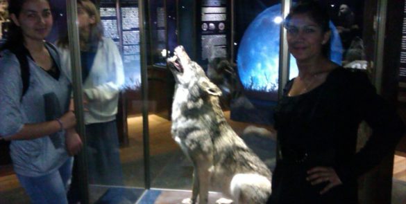 Посета Природњачком и Педагошком музеју