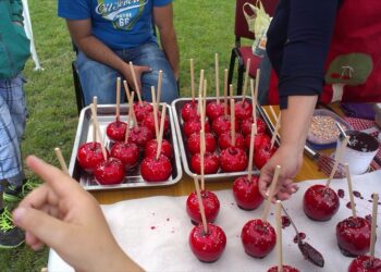 "Златне вештине за златне руке"