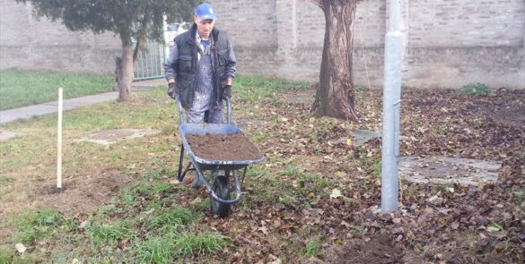 Уређење школског дворишта