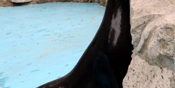 Посета Зоолошком врту града Београда