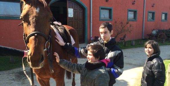 ПОСЕТА САЛАШУ У СТРЕМЕНУ