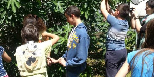 Активности ученика подручног  одељења у Јакову