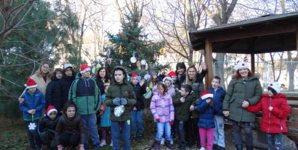 Хоће ли већ једном тај Деда Мраз???