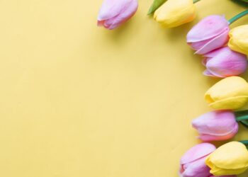 8. март – Дан жена