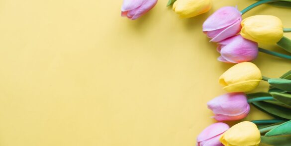 8. март – Дан жена