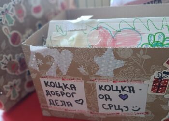 „Коцка доброг дела-коцка од срца срцу“