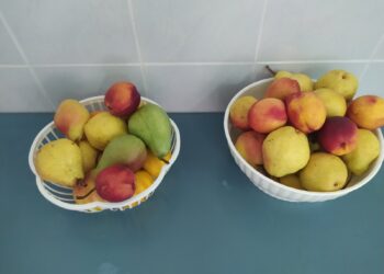 Светски дан хране – тематски дан