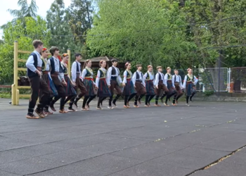 Културно уметничко друштво „Деспот Стефан“.