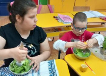 Пројекат „I grow aromatic plants“