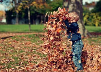 Јесење активности